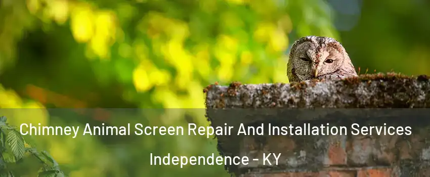  Chimney Animal Screen Repair And Installation Services Independence - KY