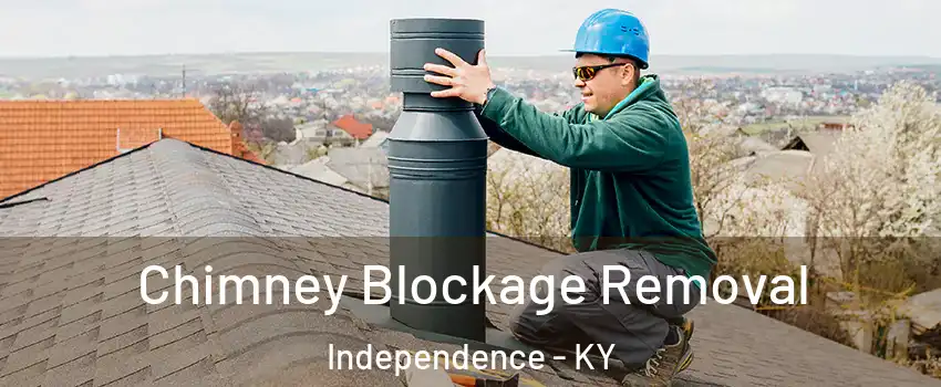  Chimney Blockage Removal Independence - KY