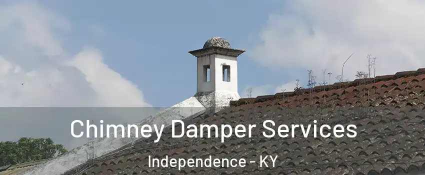  Chimney Damper Services Independence - KY