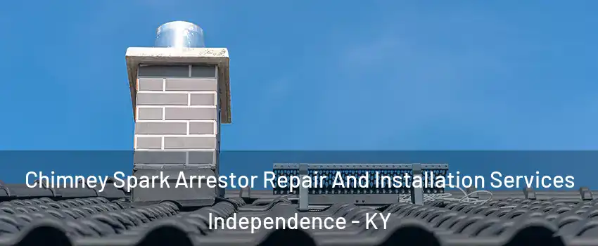  Chimney Spark Arrestor Repair And Installation Services Independence - KY