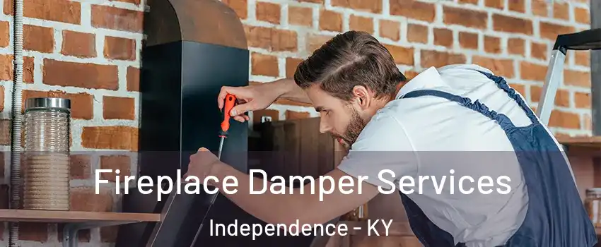 Fireplace Damper Services Independence - KY