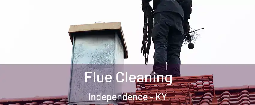 Flue Cleaning Independence - KY