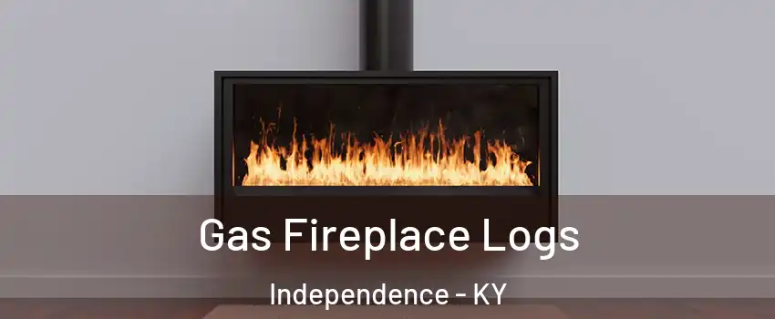  Gas Fireplace Logs Independence - KY