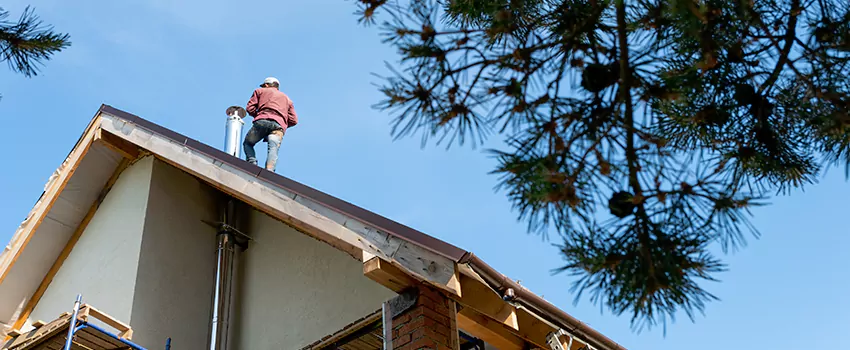 Birds Removal Contractors from Chimney in Independence, KY