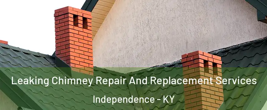  Leaking Chimney Repair And Replacement Services Independence - KY