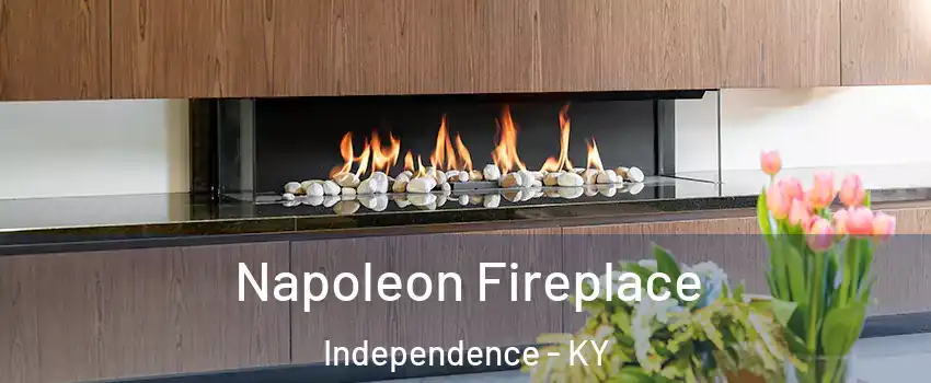  Napoleon Fireplace Independence - KY